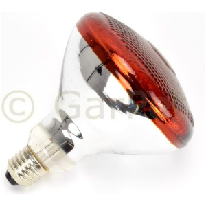 Ampoule Infrarouge Lampe Chauffante 100w