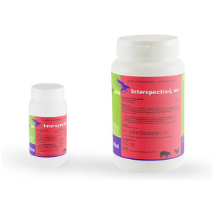 Interspectine-L WS Spectinomycine & Lincomycine poudre hydrosoluble