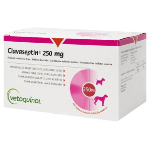 CLAVASEPTIN Antibiotique generale pour chiens et chats