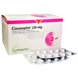 CLAVASEPTIN Antibiotique generale pour chiens et chats