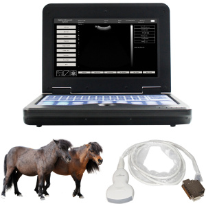 Echographe Scanner veterinaire d’ultrason avec la sonde