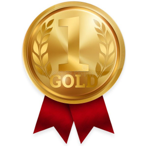 Online SHOP – Souscription Gold / +1000 Articles