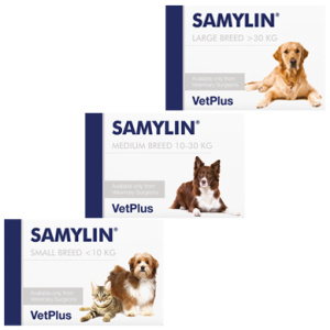 VetPlus Samylin Protecteur hépatique