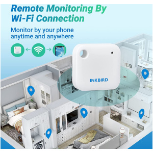 Thermomètre Hygromètre IBS-TH3 WiFi