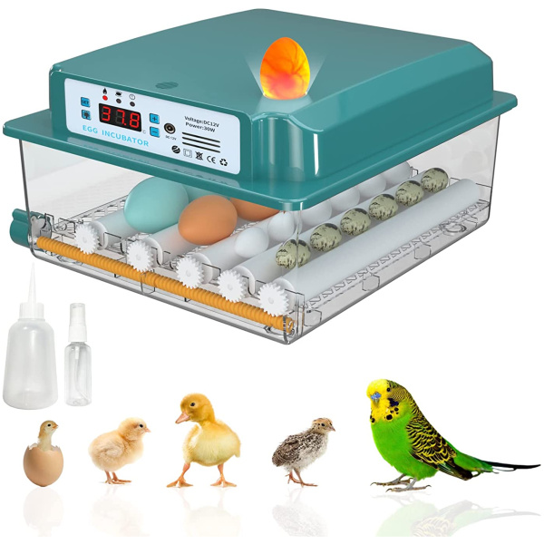 Incubateur Oeuf Automatique MOGOULUA Incubateur à 9 œufs Avec Lit