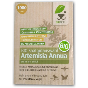 Graine d’Artemisia Annua de qualité biologique