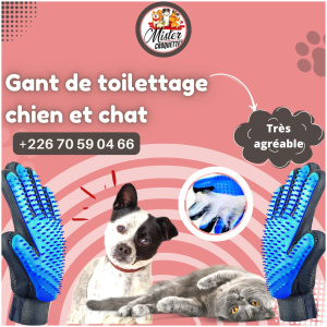 Gant de toilettage pour Chien et Chat