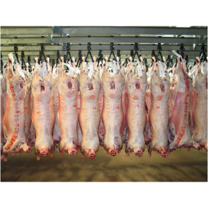 🐑 Offre Limitée Spéciale Tabaski / Carcasses de Mouton de Qualité 🐑