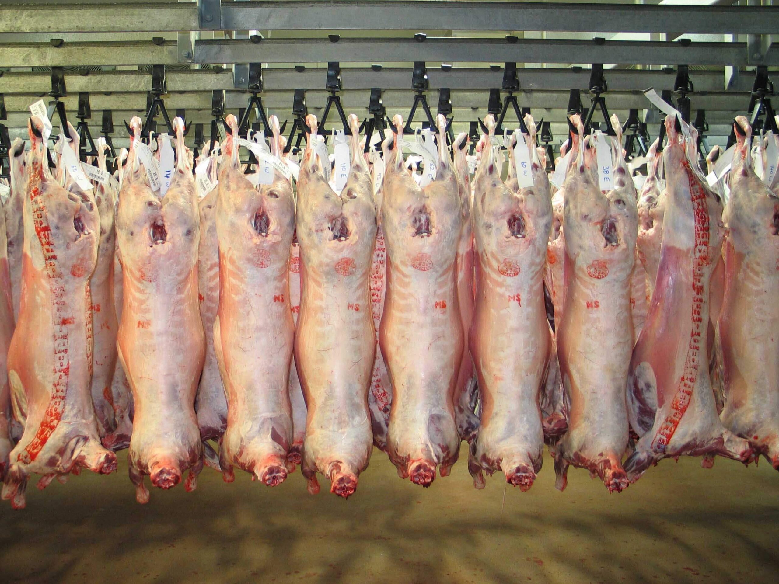 🐑 Offre Limitée Spéciale Tabaski / Carcasses de Mouton de Qualité 🐑