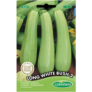 Semence / Graine de Zucchini Withe Bush