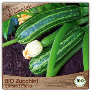 Semence / Graines de Courgette Bio Ancienne Variété Striato D’Italia