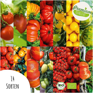 Semence – 14 variétés de graines de tomates