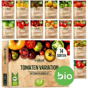 Semence – 14 variétés de graines de tomates