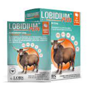 LOBIDIUM 1g – Anti-trypanosomoses