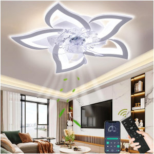 Ventilateur de Plafond avec Éclairage – Design