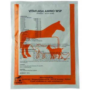 Vitaflash Amino WSP (100g) – HTS Farms en poudre