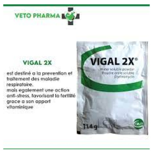 VIGAL® 2X (Erythromycine). – Antibiotique et Anti-Stress pour volaille