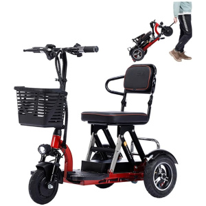 Scooters / Trottinettes Électriques