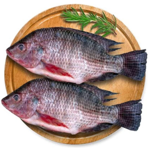 Nos Poissons d’eau douce