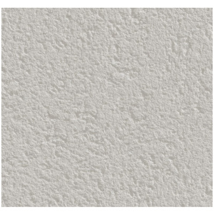 Frotassé de peintures murales
