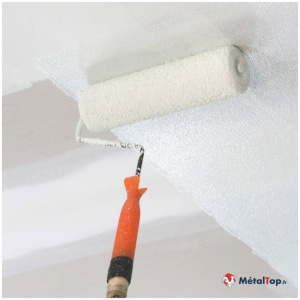 Fixateur de peintures murales