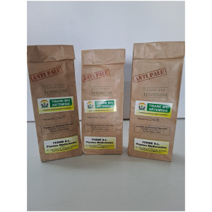 Sachet Artémisia
