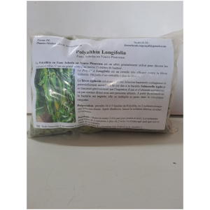 POLYALTHA LONGIFOLIA