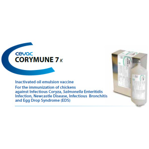 Corymune 7K