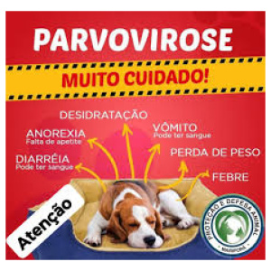 Vivinette anti-parvovirose