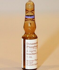 Traitement veterinaire – Dexamethasone Injection (portion 1 ml)