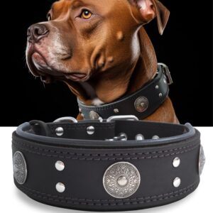 Colliers en cuir pour chiens