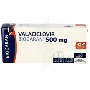 VALACICLOVIR BIOGARAN 500 mg