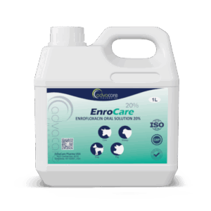 Enrofloxacine pour volaille