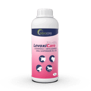 🐓 Levmisol (Levamisole Antiparasitaire vétérinaire)