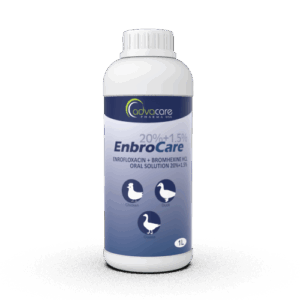 Enrofloxacine pour volaille