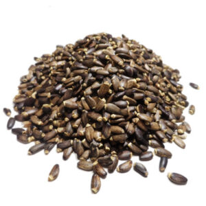 Graines/semences de Chardon Marie