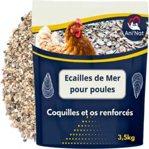 🐔🦜Calcium pour Poules pondeuses et Oiseaux