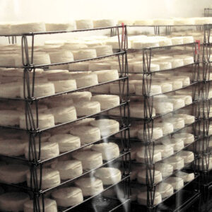 Presures et ferment de fromages