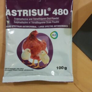 Astrisul 480 – Poudre orale 100 g (antibactérien vétérinaire)