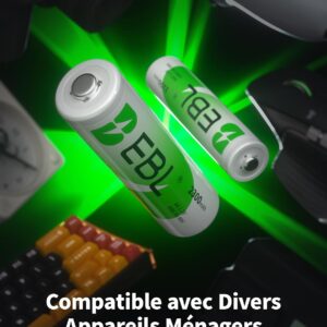 16PCS Piles Rechargeables AA et AAA